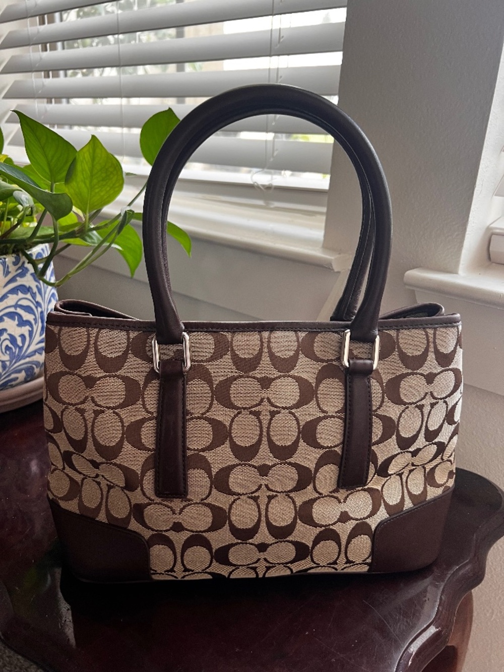 Coach bag